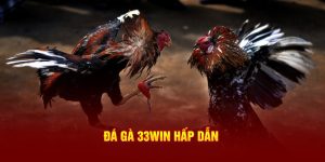 Đá Gà Thomo WIN33 - Loại Hình Giải Trí Hấp Dẫn Nhất 2024